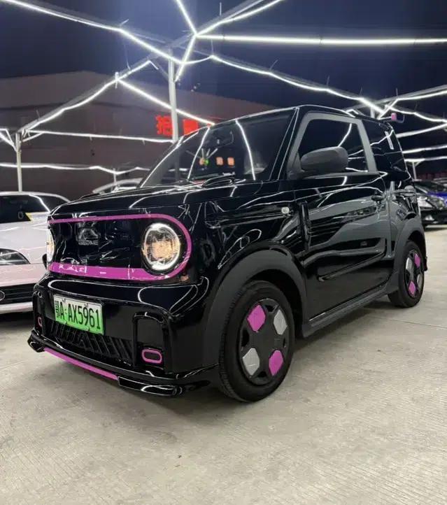 Panda 2024 Model 200km Panda Rider — миниатюра 1