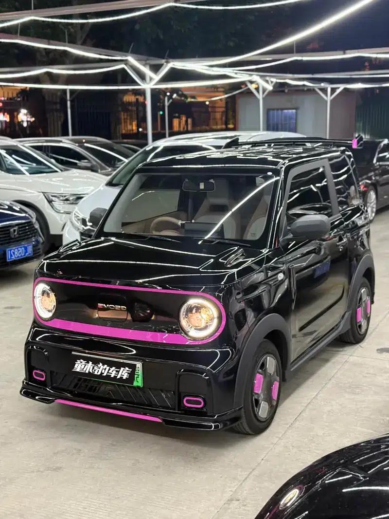 Panda 2024 Model 200km Panda Rider — миниатюра 7