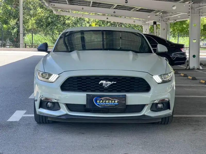 2015 Mustang 2.3T 50th Anniversary Edition — миниатюра 2