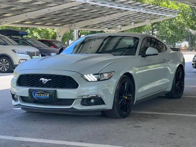2015 Mustang 2.3T 50th Anniversary Edition