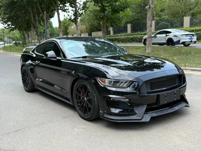 2016 Mustang 2.3T Performance Edition — миниатюра 3