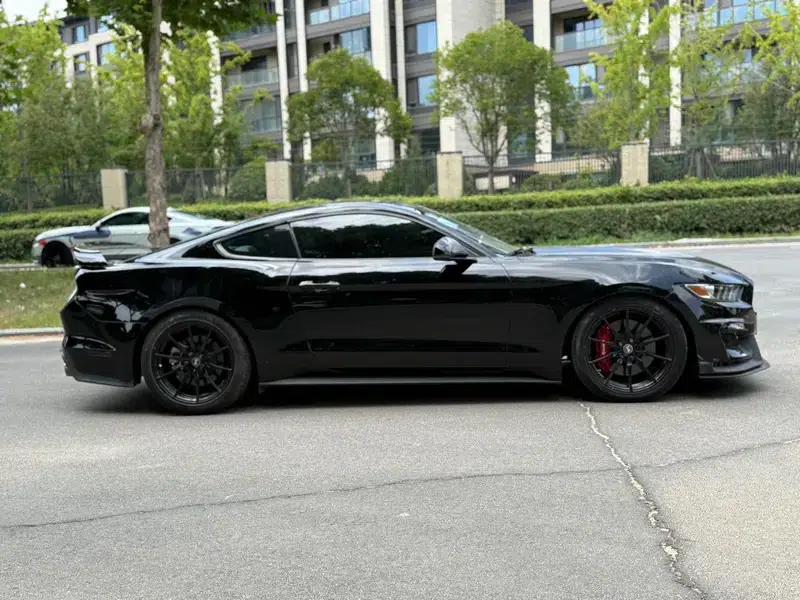 2016 Mustang 2.3T Performance Edition — миниатюра 7