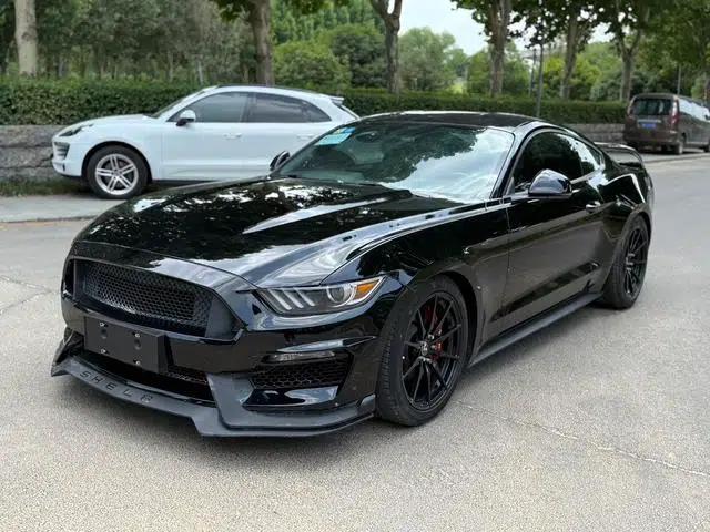 2016 Mustang 2.3T Performance Edition