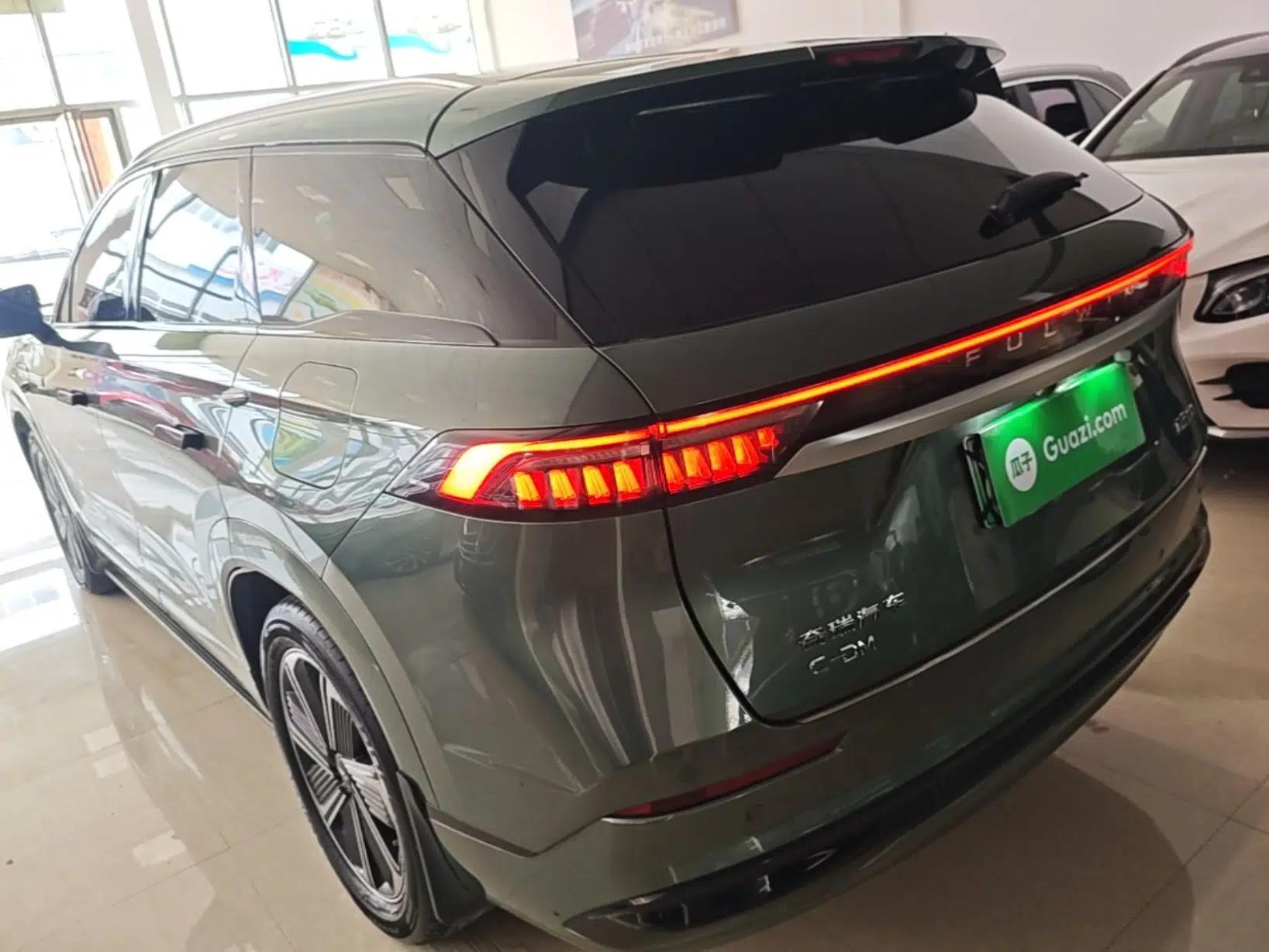 Chery Fengyun T10 2024 210 Luxury Edition — миниатюра 4