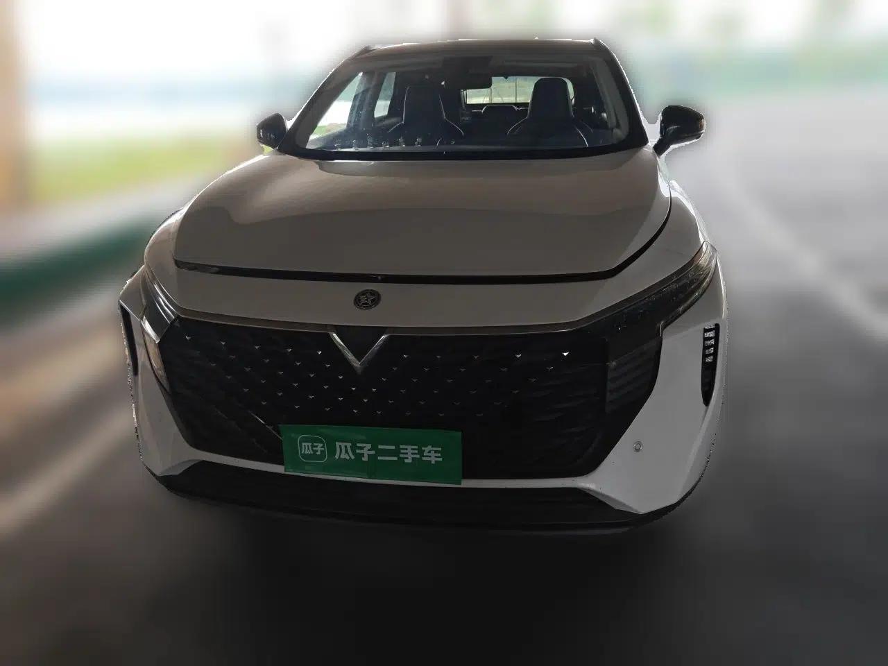 Venucia V 2021 260T Tianwang Edition — миниатюра 2