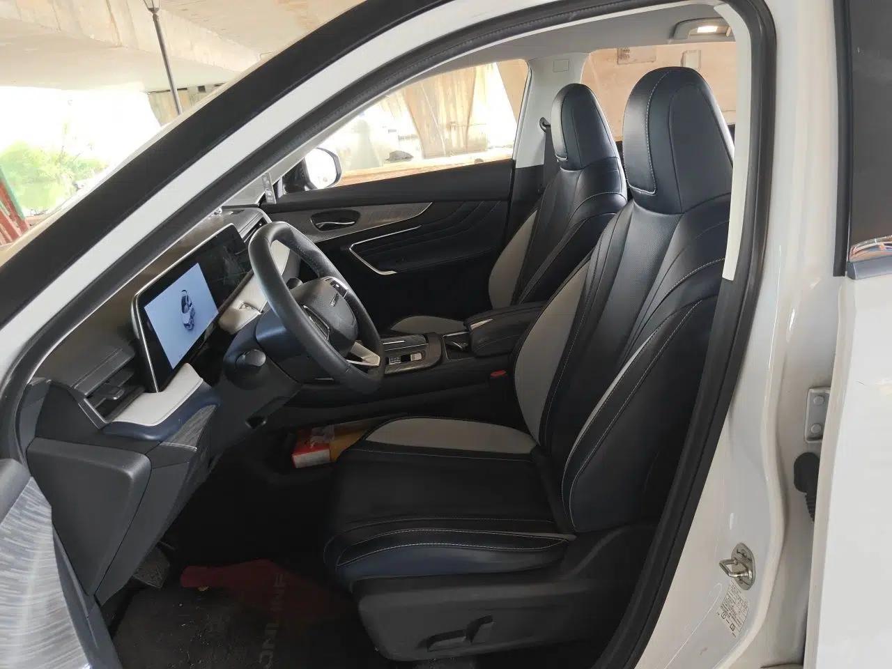 Venucia V 2021 260T Tianwang Edition — миниатюра 15