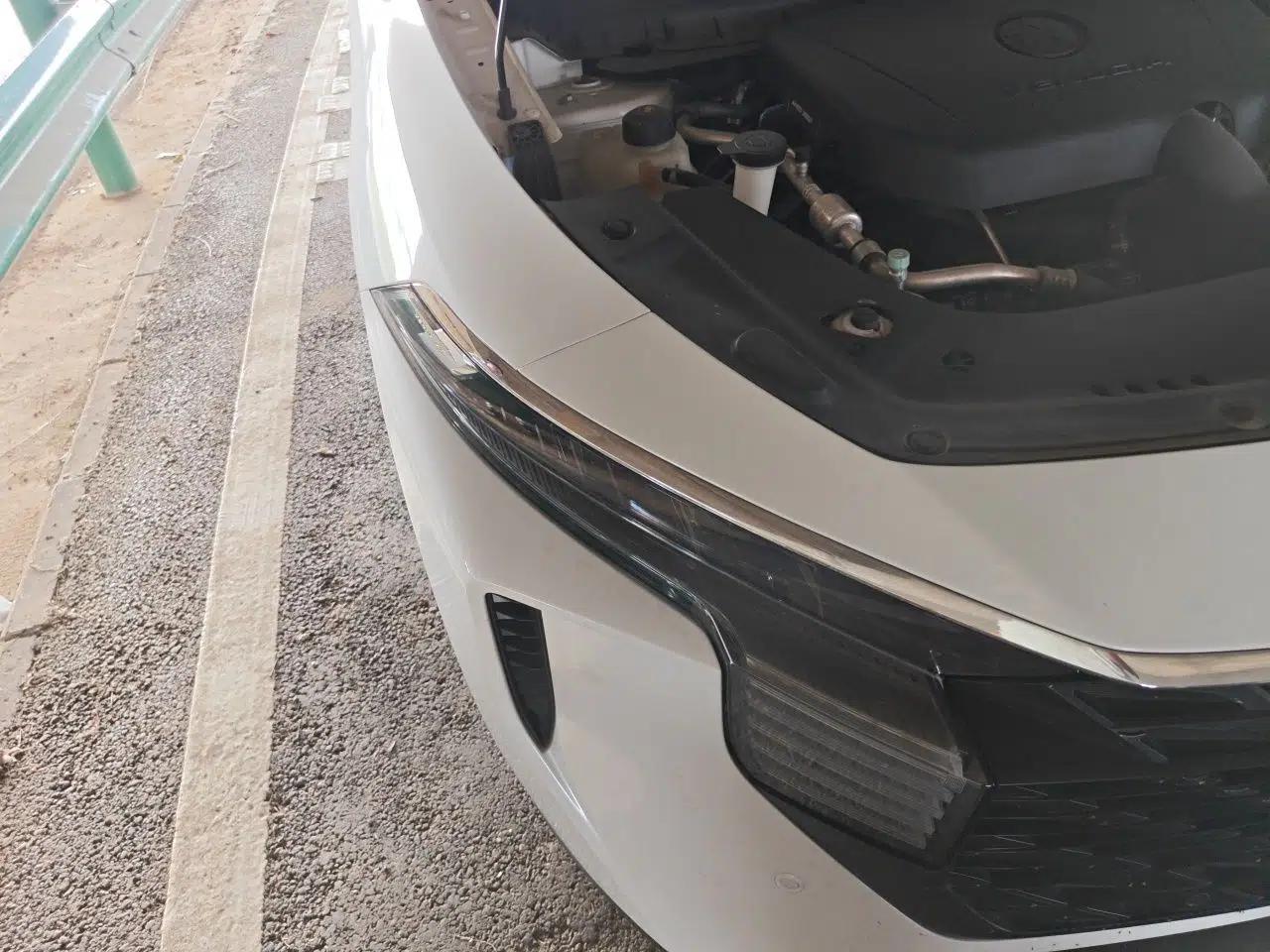 Venucia V 2021 260T Tianwang Edition — миниатюра 7