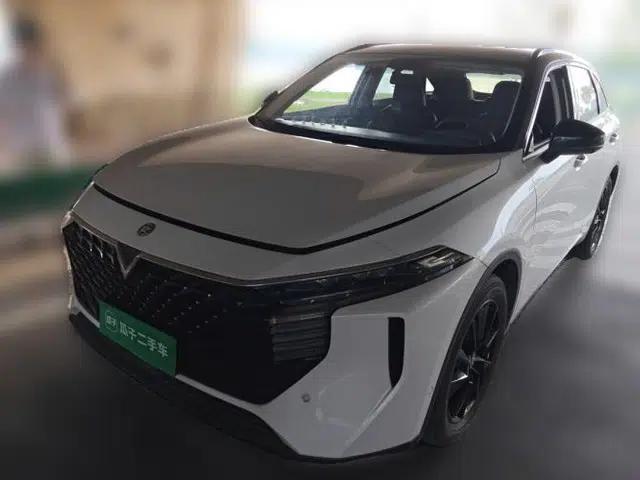 Venucia V 2021 260T Tianwang Edition