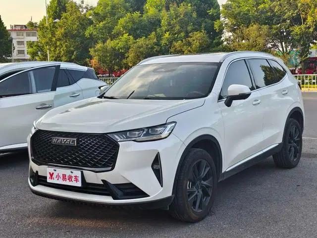 Haval H6 2021 Third Generation 2.0T Automatic Two-Wheel Drive Max Edition
