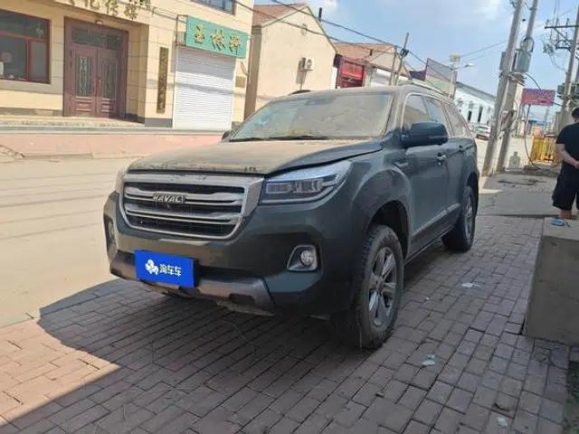 Haval H9 2020 2.0T Gasoline 4WD Premium 7-Seater