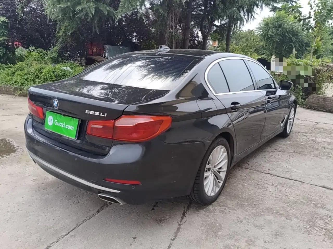 BMW 5 Series 2019 525Li Luxury Package — миниатюра 6