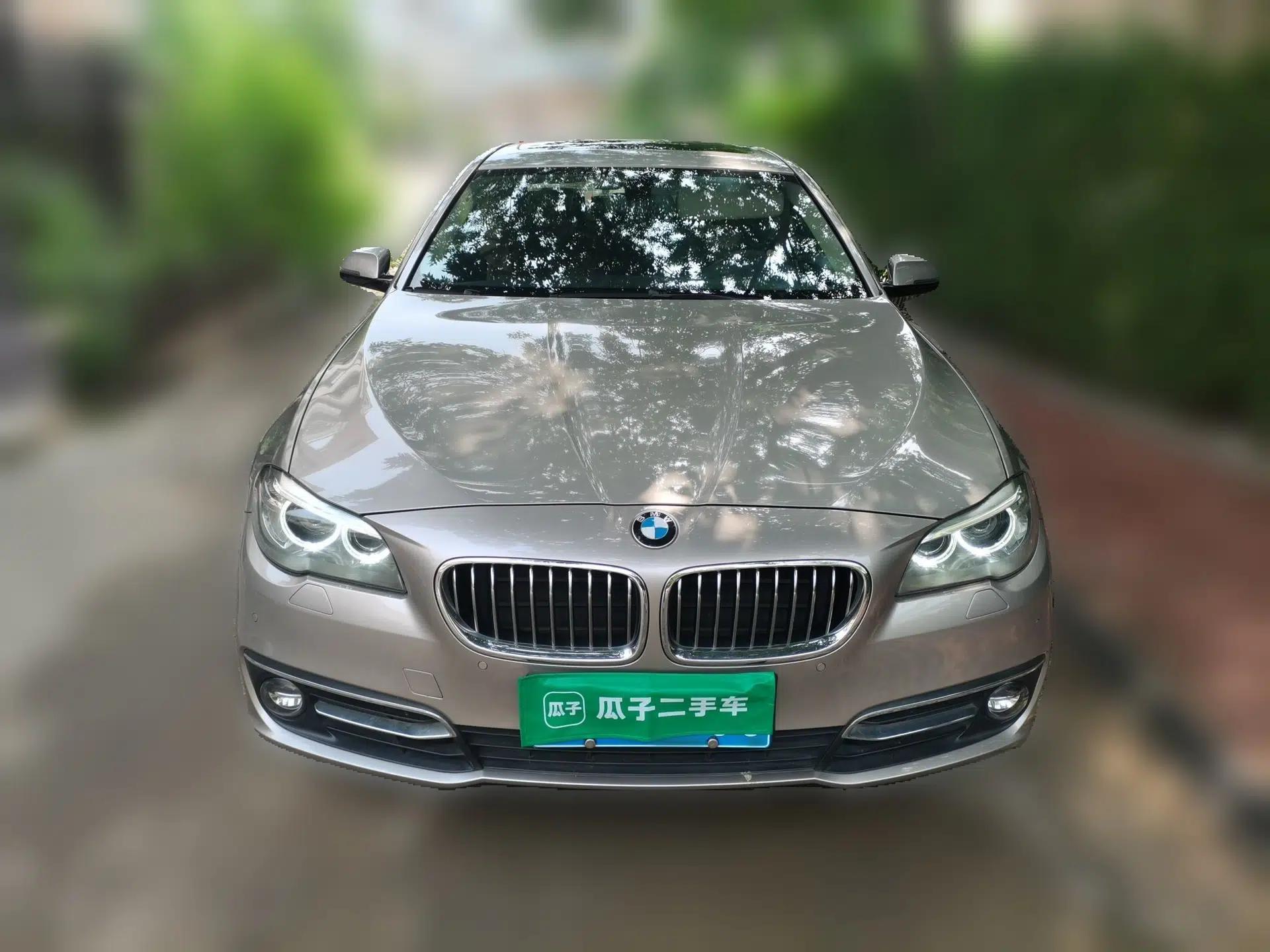 BMW 5 Series 2014 525Li Luxury Design Package — миниатюра 2