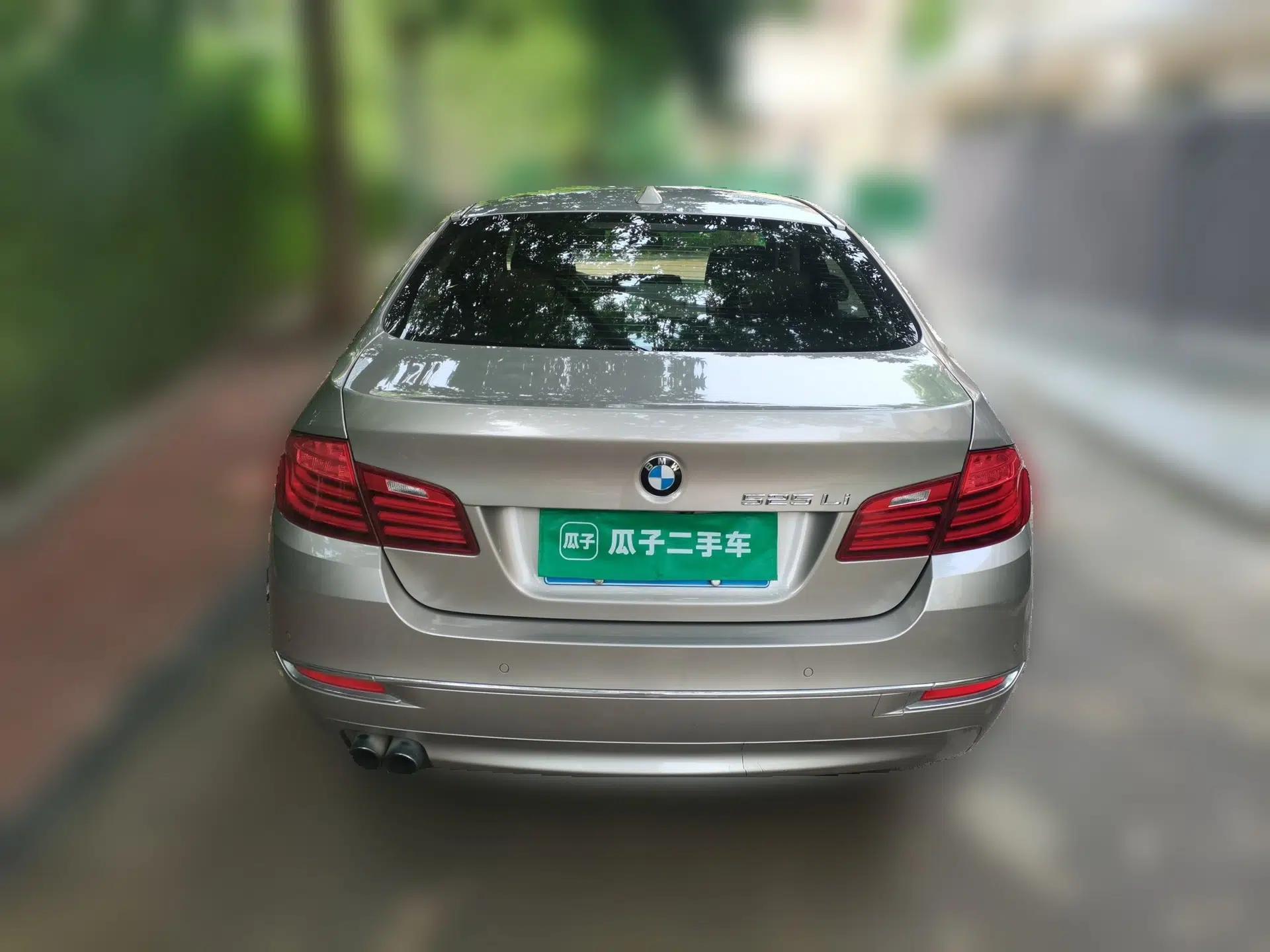 BMW 5 Series 2014 525Li Luxury Design Package — миниатюра 5