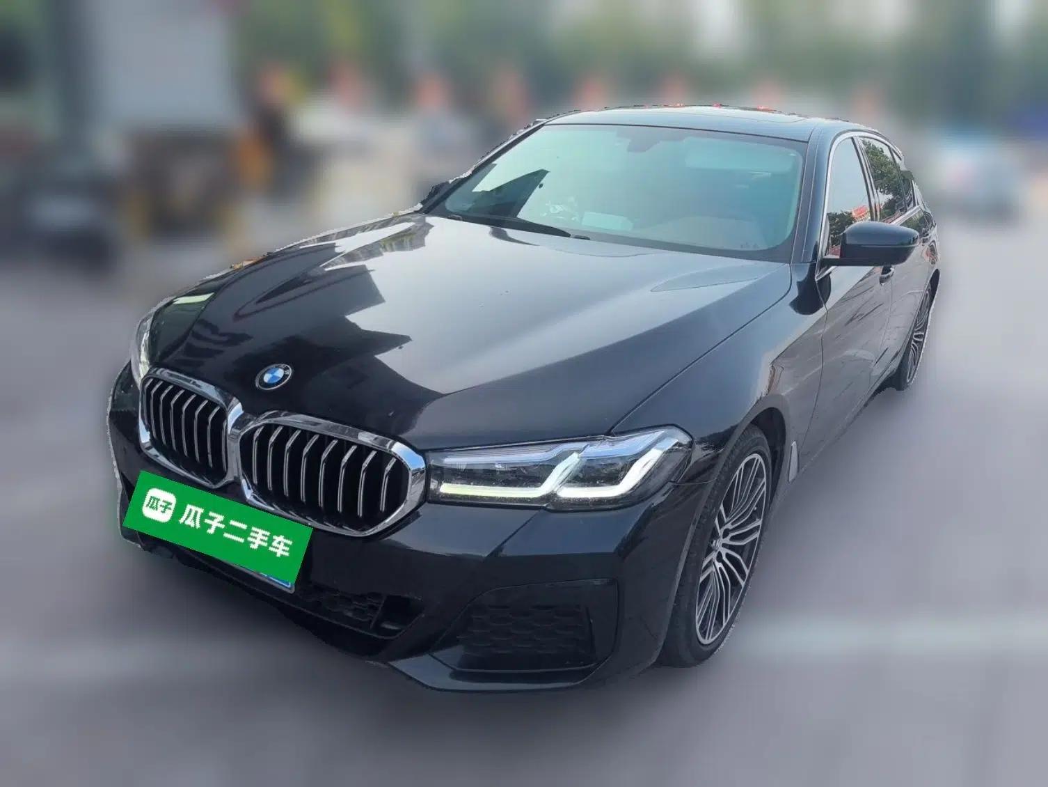 BMW 5 Series 2020 530Li Leading Edition Luxury Package — миниатюра 1