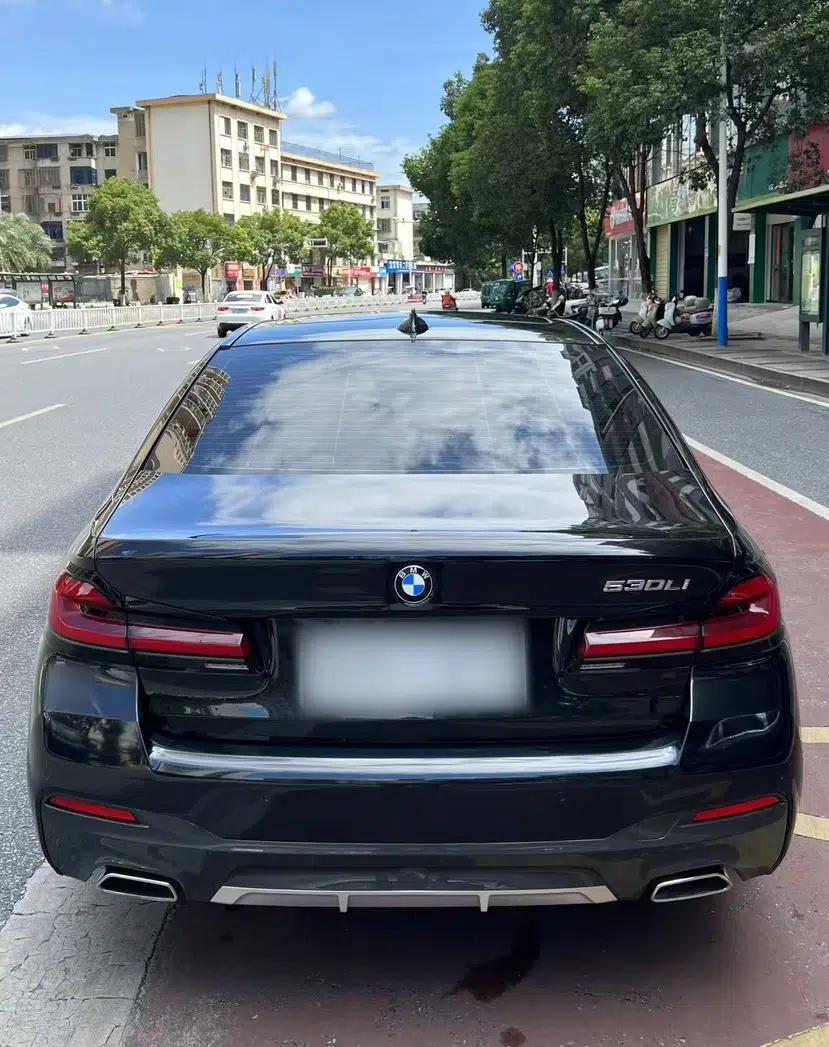 BMW 5 Series 2021 530Li Luxury Edition M Sport Package — миниатюра 6