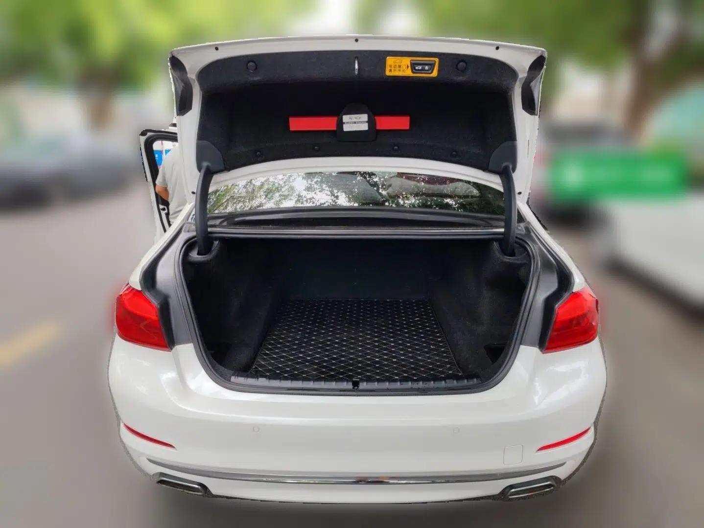 BMW 5 Series 2020 525Li Luxury Package — миниатюра 19