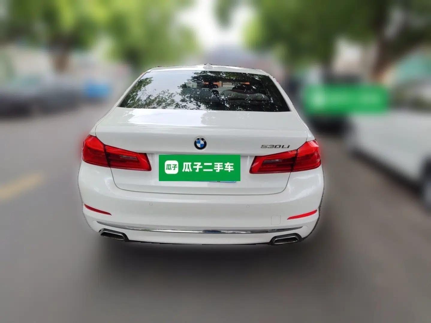 BMW 5 Series 2020 525Li Luxury Package — миниатюра 5