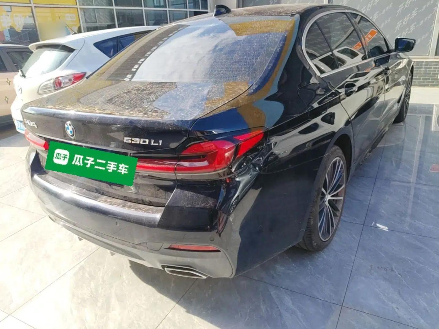 BMW 5 Series 2023 530Li Leading Model M Sport Package — миниатюра 6