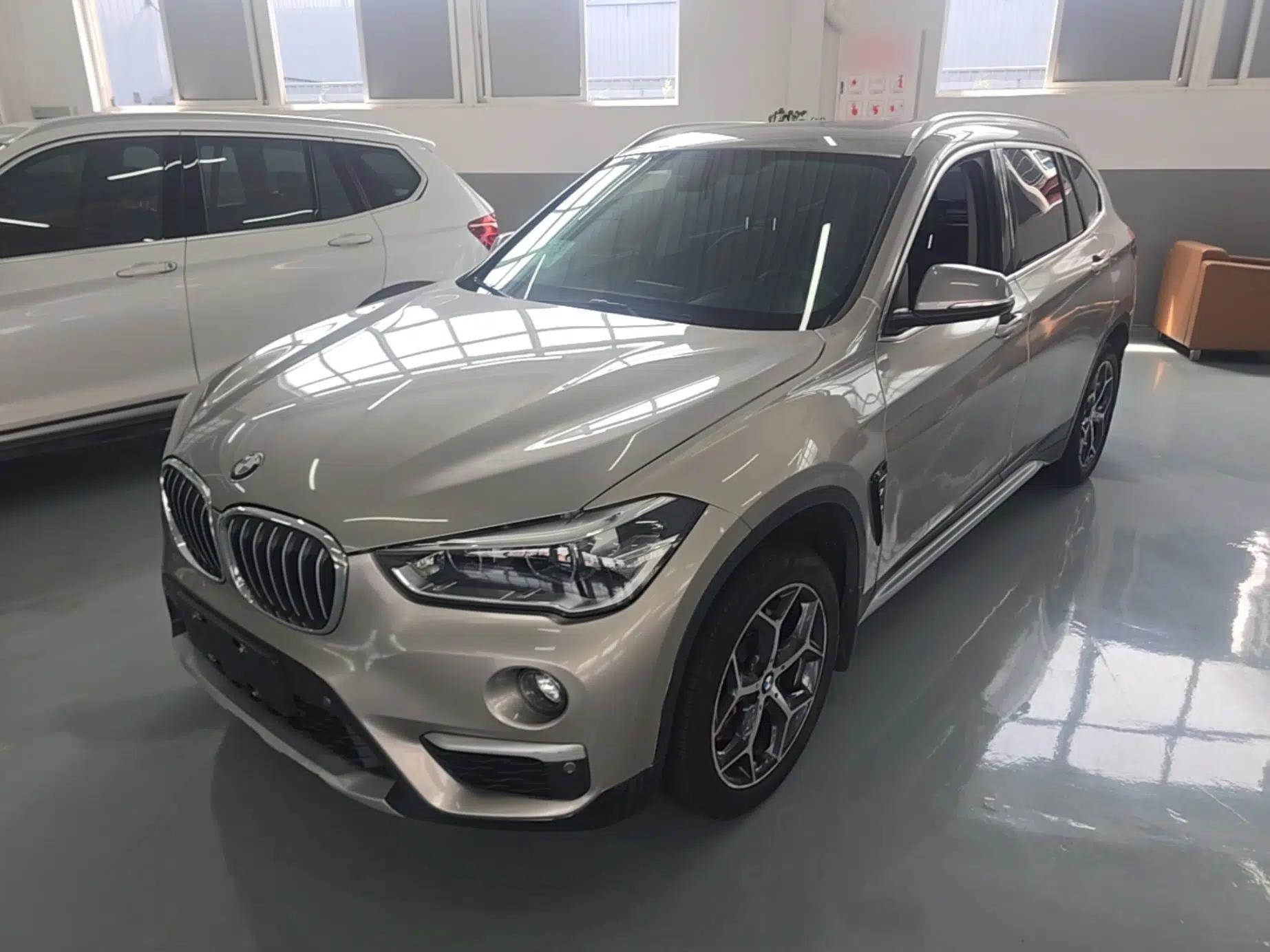 BMW X1 2019 xDrive20Li Luxury Model — миниатюра 1