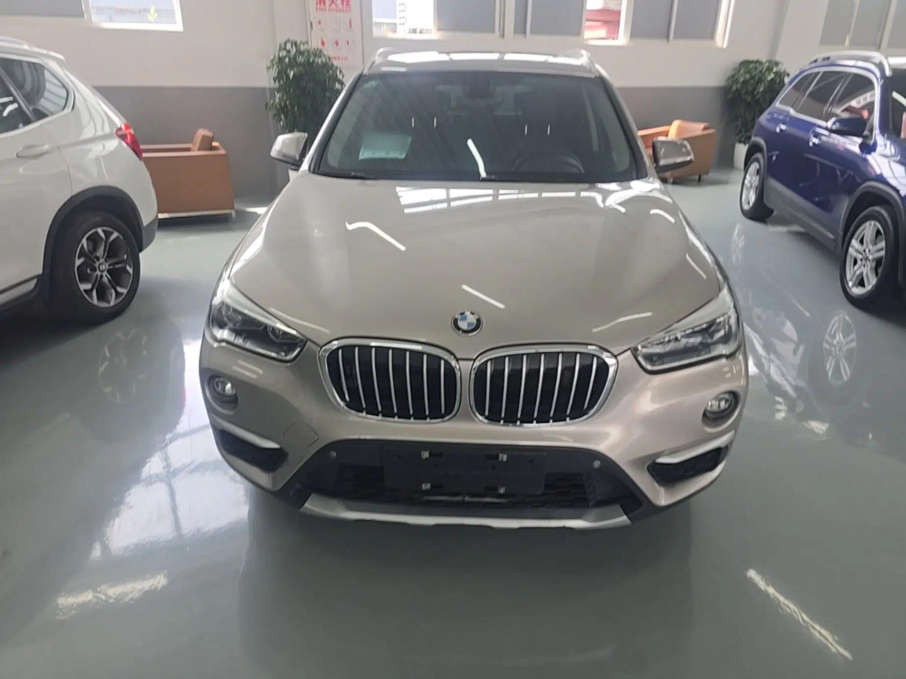 BMW X1 2019 xDrive20Li Luxury Model — миниатюра 2
