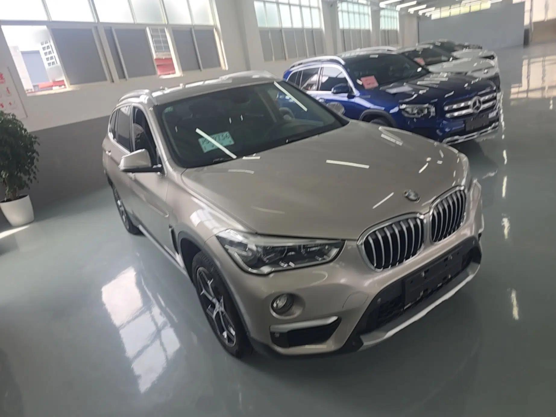 BMW X1 2019 xDrive20Li Luxury Model — миниатюра 3