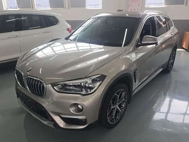 BMW X1 2019 xDrive20Li Luxury Model