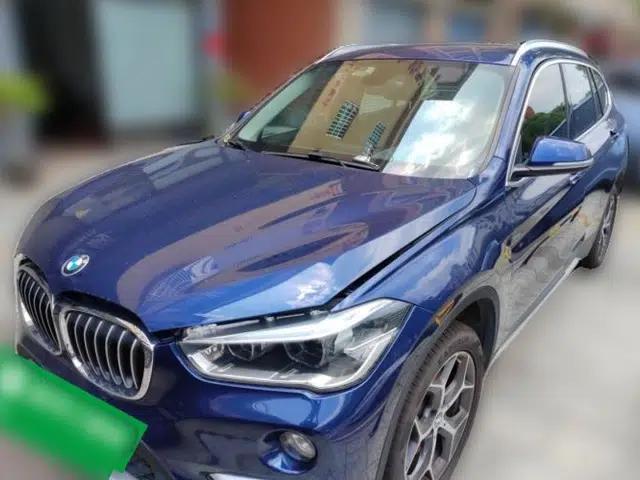 BMW X1 2019 xDrive20Li Luxury Model