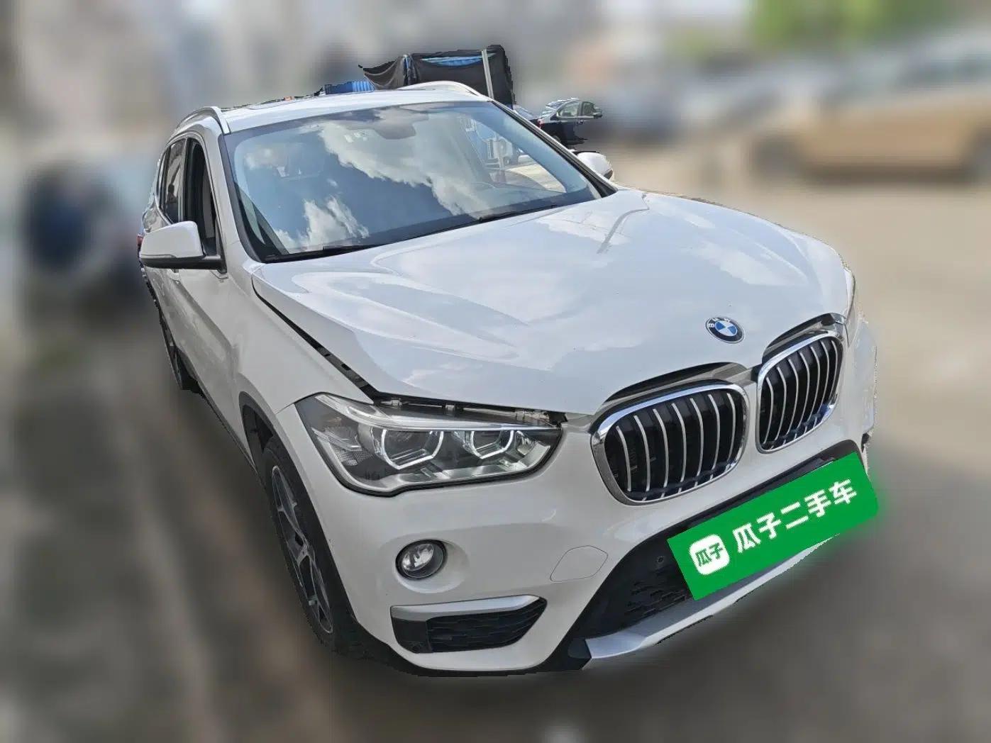 BMW X1 New Energy 2018 xDrive25Le Luxury Model — миниатюра 3