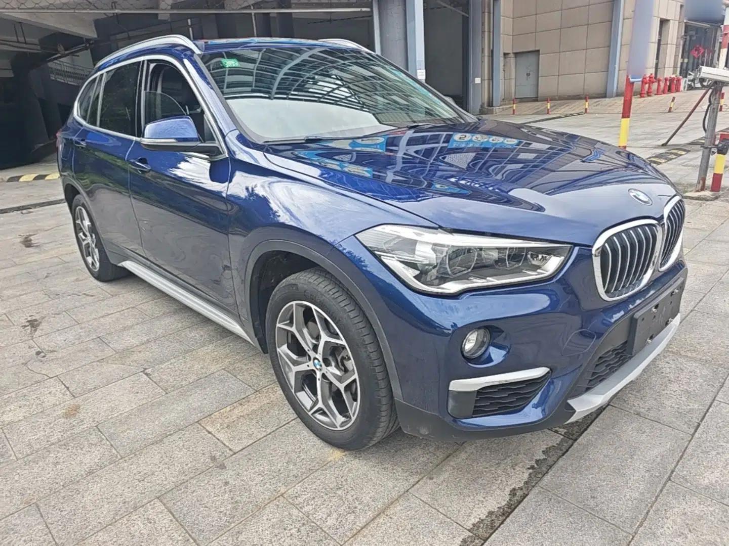 BMW X1 2019 xDrive20Li Luxury Model — миниатюра 3