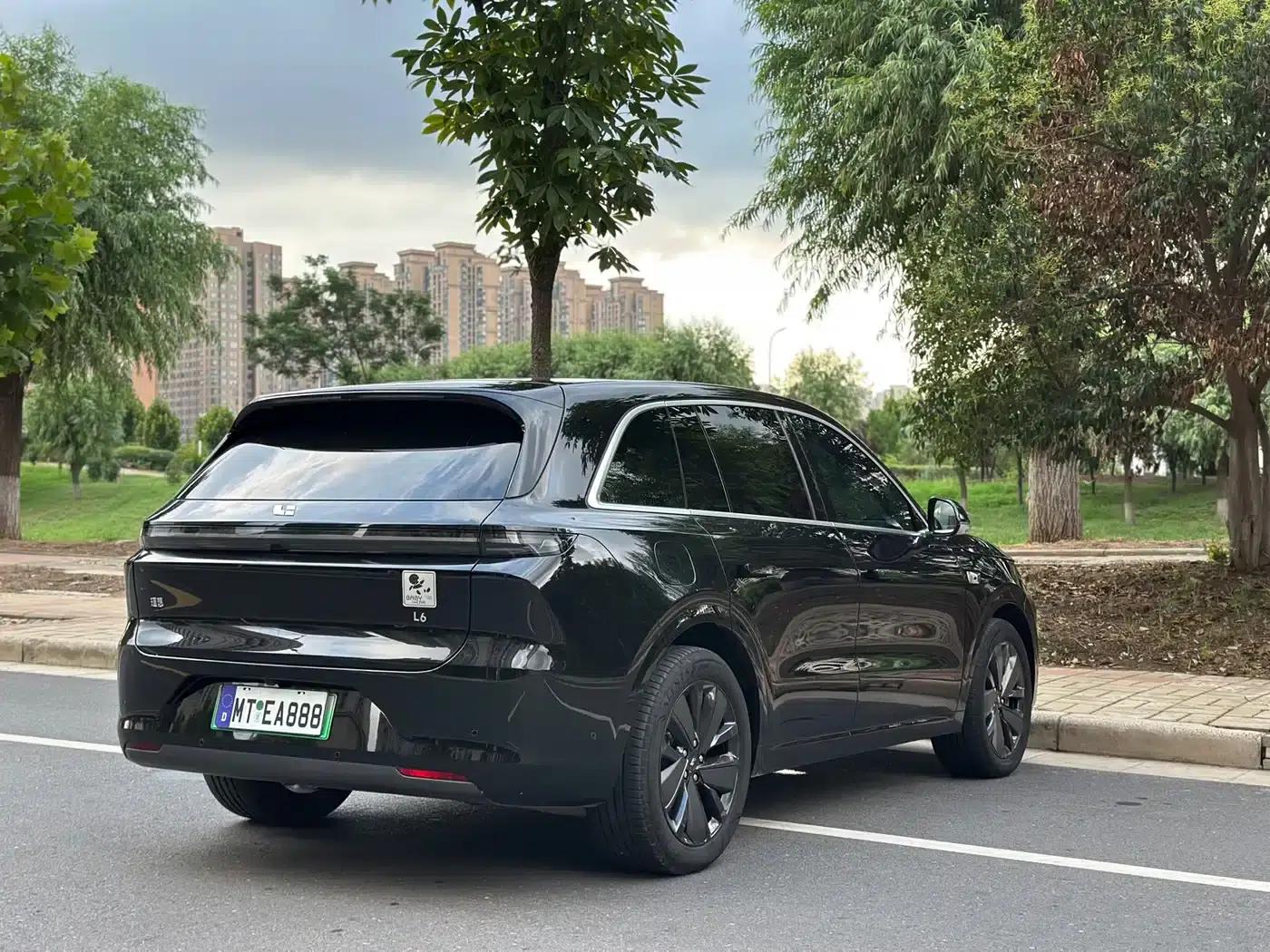 Li Auto L6 2025 Max Intelligent Renewal Edition — миниатюра 9