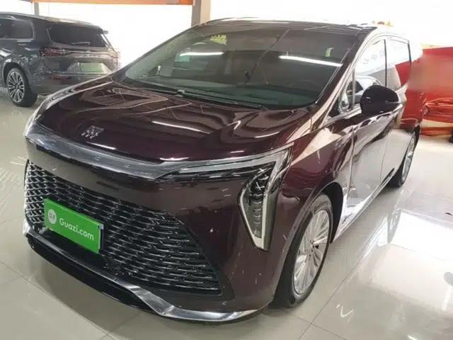 Buick Century 2023 2.0T Six-Seater Yinshi Edition