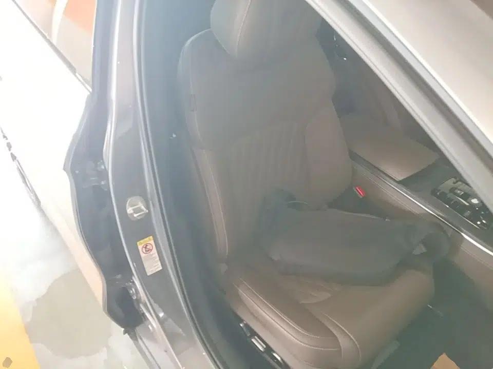 BYD Han 2020 EV Long-Range Deluxe Model — миниатюра 19