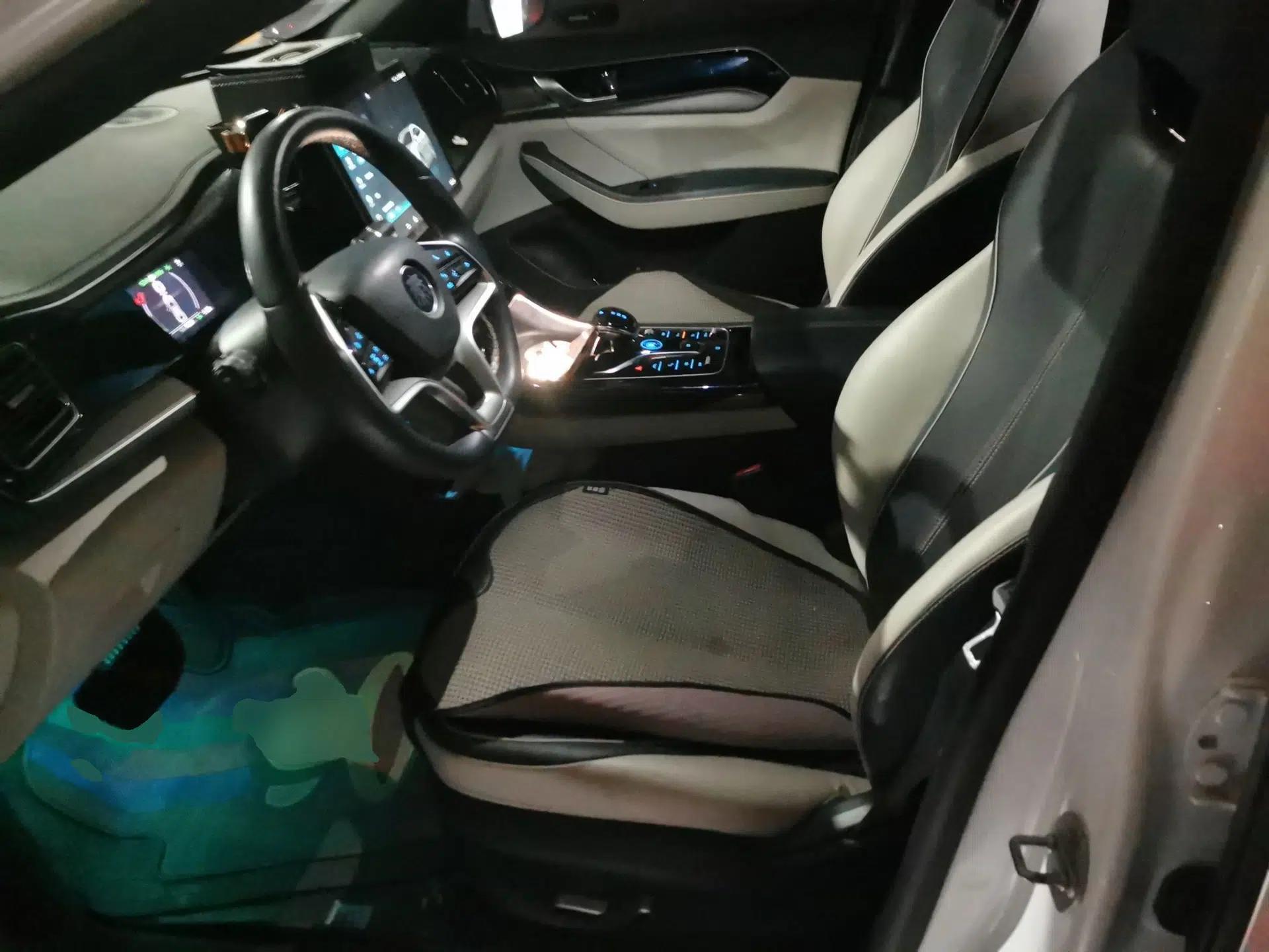BYD Qin PLUS 2021 EV 500KM Premium Model — миниатюра 15