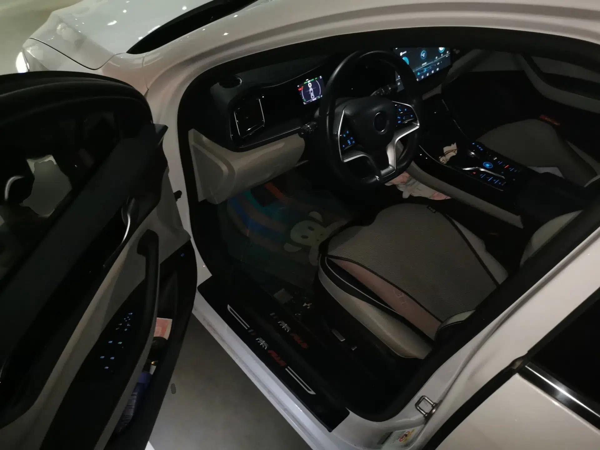 BYD Qin PLUS 2021 EV 500KM Premium Model — миниатюра 16