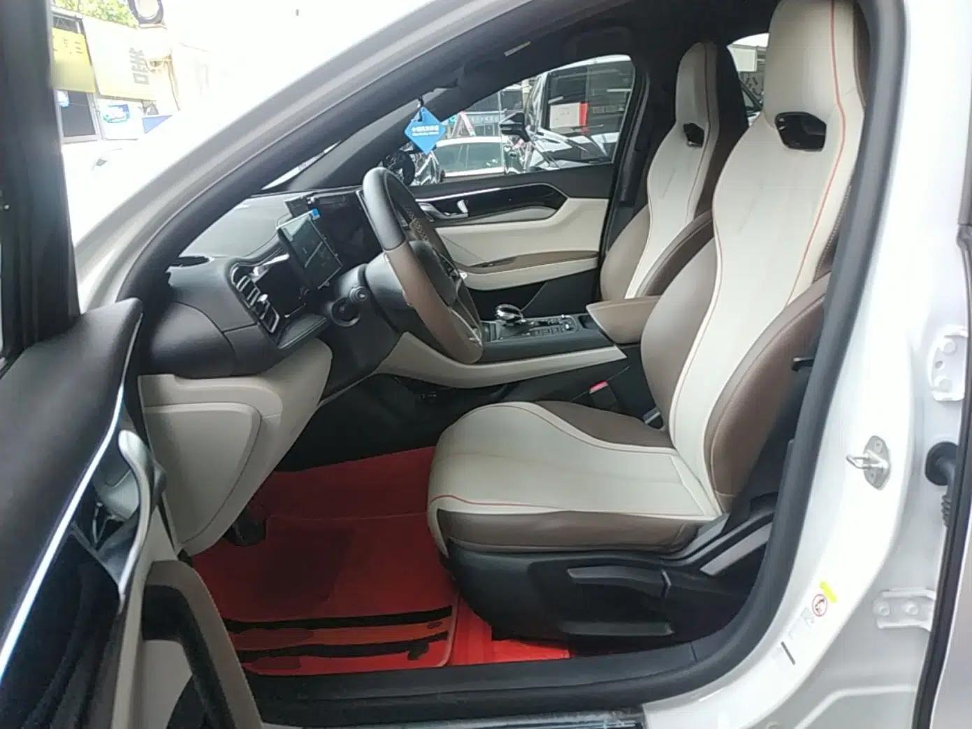 BYD Qin PLUS 2023 Champion Edition EV 510KM Leading Model — миниатюра 17
