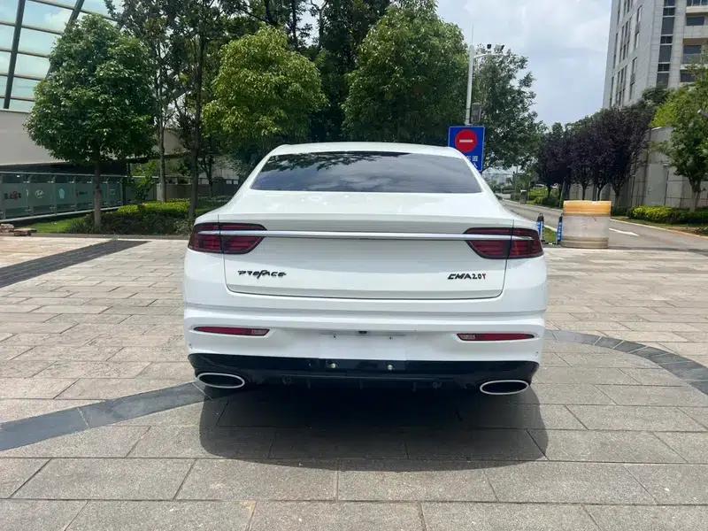 Xingrui 2020 2.0T Premium Edition — миниатюра 6