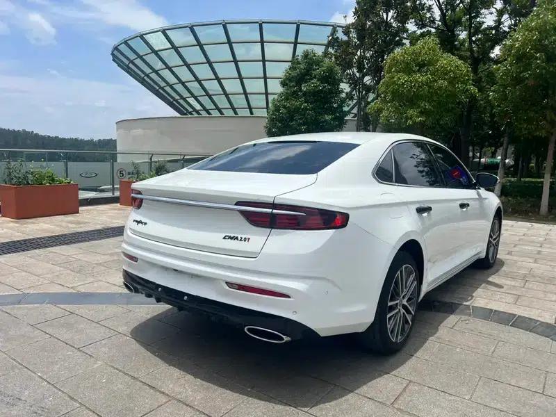 Xingrui 2020 2.0T Premium Edition — миниатюра 7