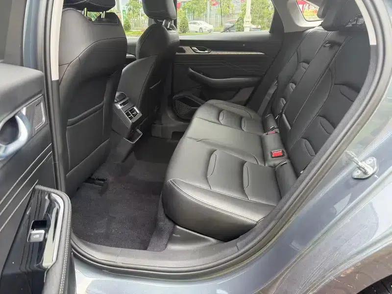 Xingrui 2023 2.0T Luxury Edition — миниатюра 9