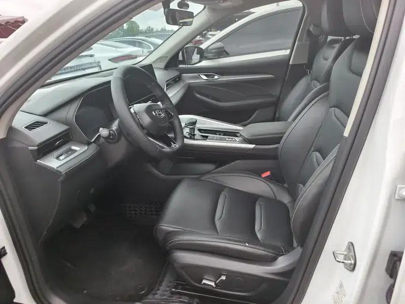 Xingrui 2020 2.0T Luxury Edition — миниатюра 12