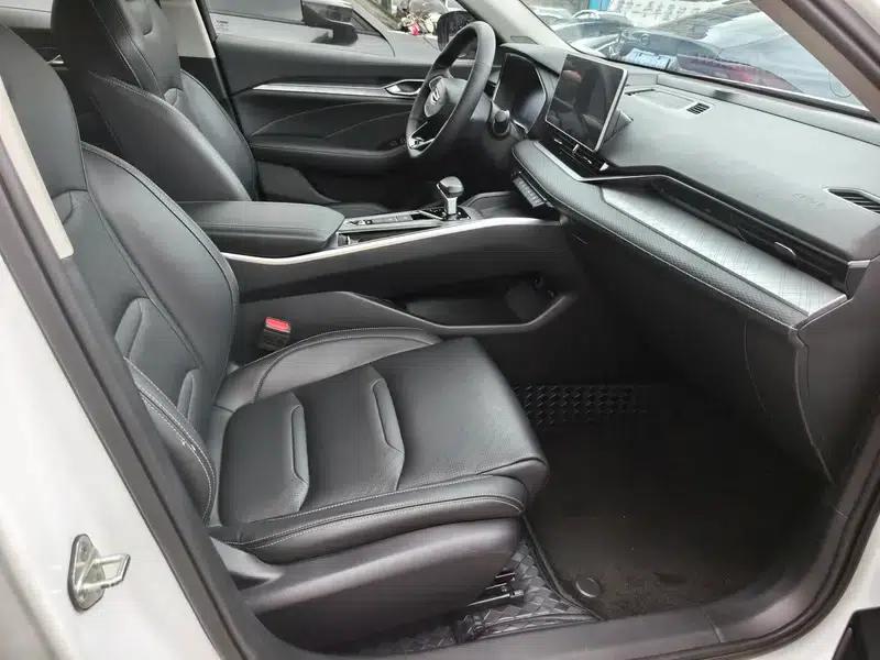 Xingrui 2020 2.0T Luxury Edition — миниатюра 13