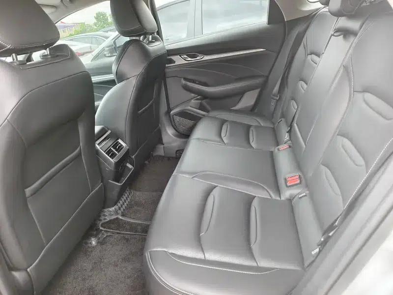 Xingrui 2020 2.0T Luxury Edition — миниатюра 17