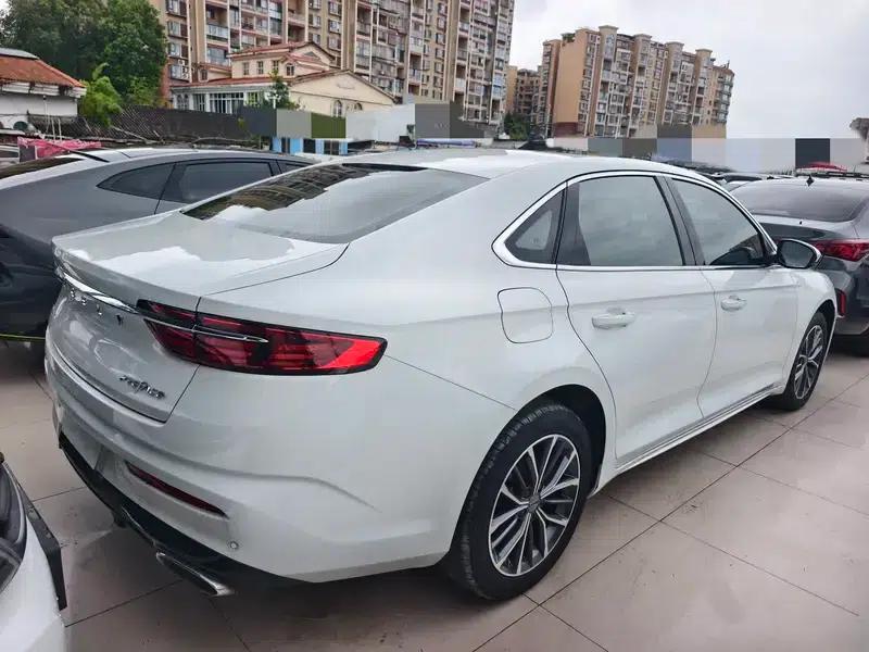 Xingrui 2020 2.0T Luxury Edition — миниатюра 5