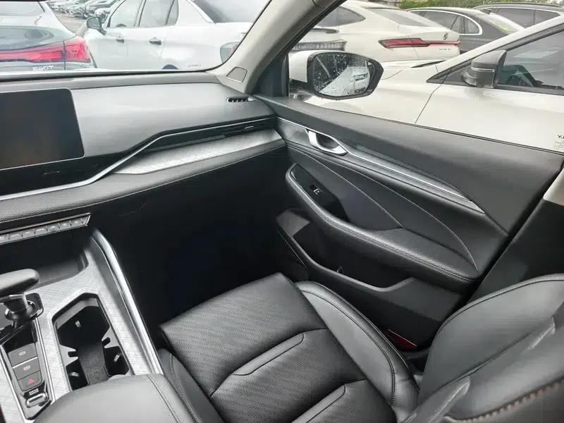 Xingrui 2020 2.0T Luxury Edition — миниатюра 7