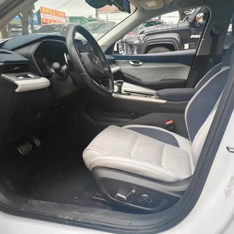 Xingrui 2020 2.0T Flagship Edition — миниатюра 7
