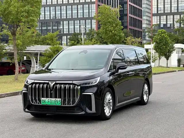 Voyah Dreamer 2024 PHEV Extended Range Premium Edition