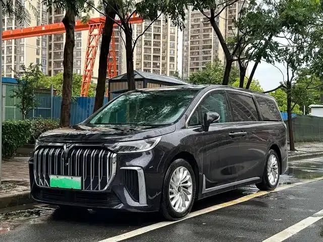 Voyah Dreamer 2024 PHEV Extended Range Premium Edition