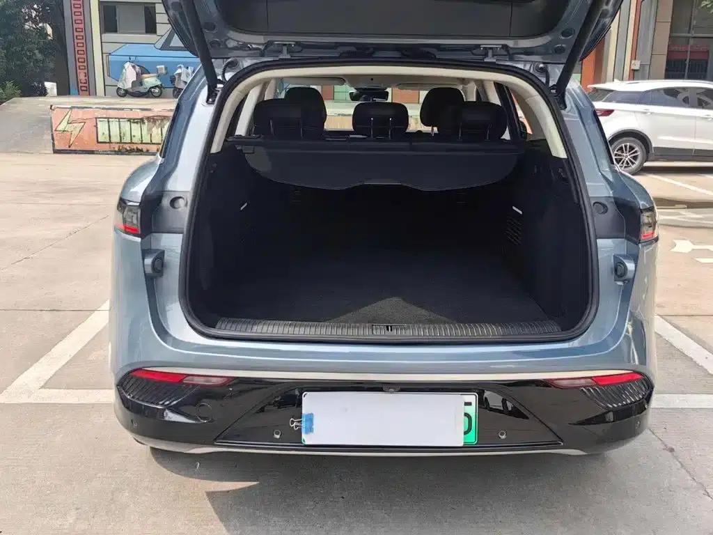Voyah FREE 2021 AWD Standard Range Extender Exclusive Luxury Package — миниатюра 15