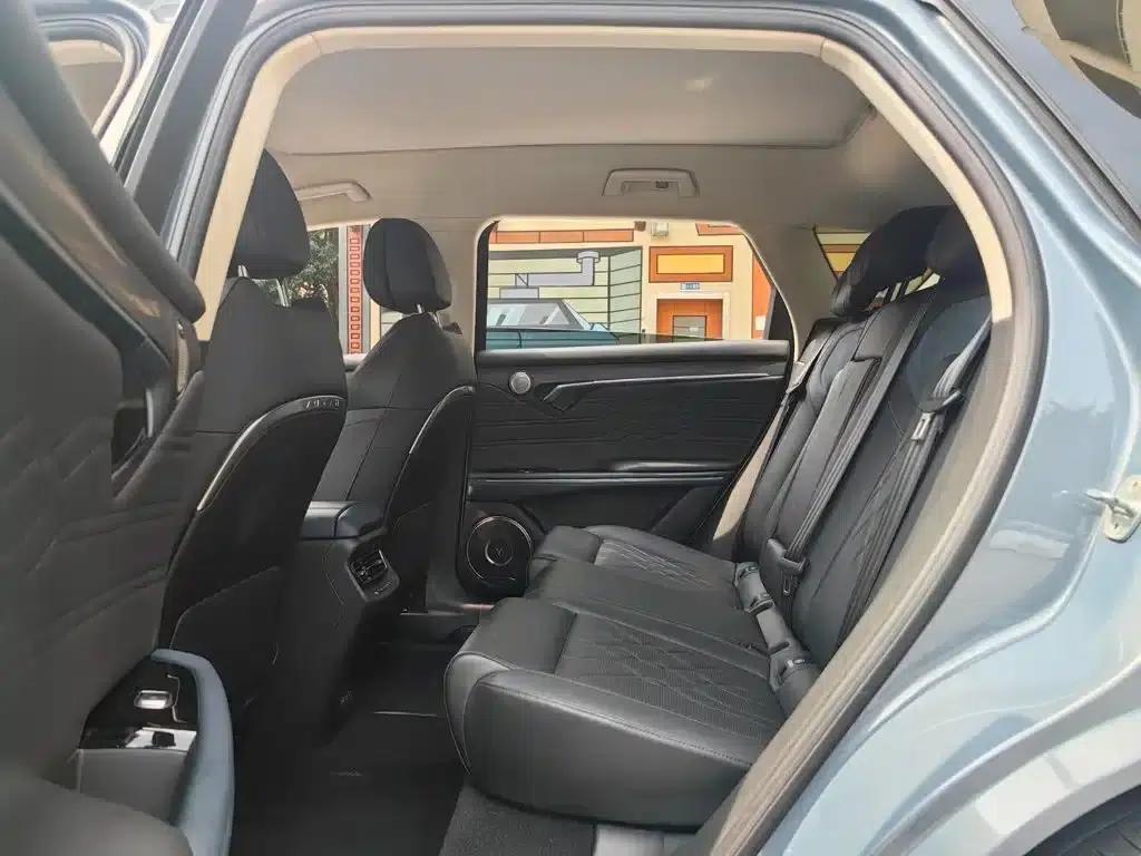 Voyah FREE 2021 AWD Standard Range Extender Exclusive Luxury Package — миниатюра 6