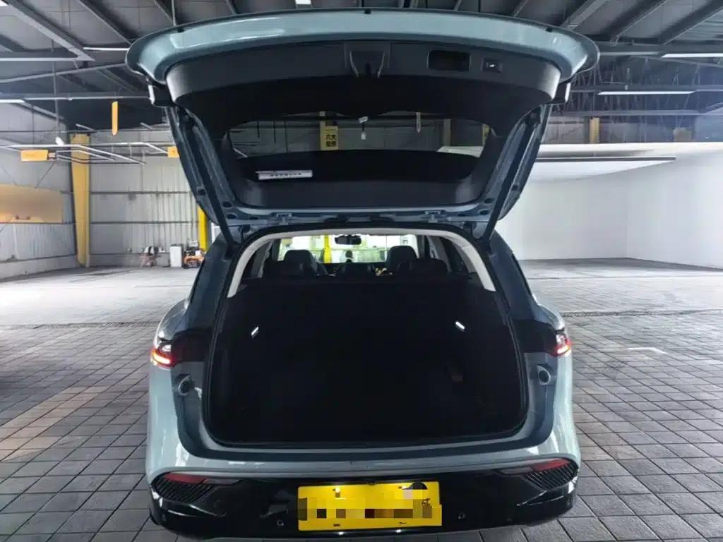 Voyah FREE 2021 AWD Standard Range Extender Exclusive Luxury Package — миниатюра 19