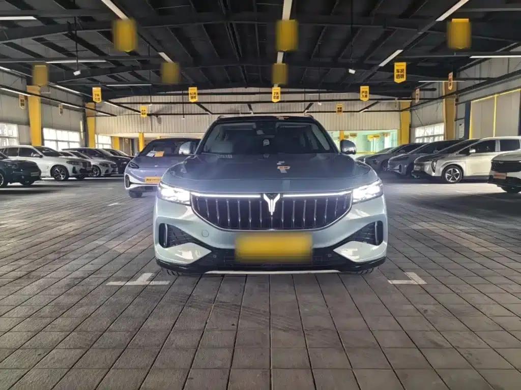 Voyah FREE 2021 AWD Standard Range Extender Exclusive Luxury Package — миниатюра 3